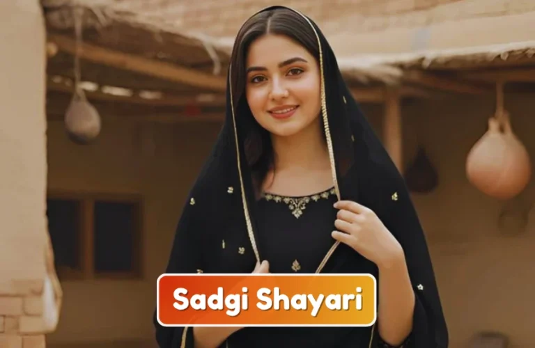 Sadgi Shayari