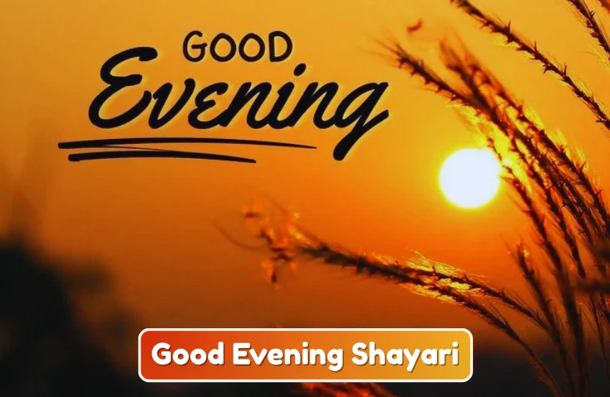 Good Evening Shayari